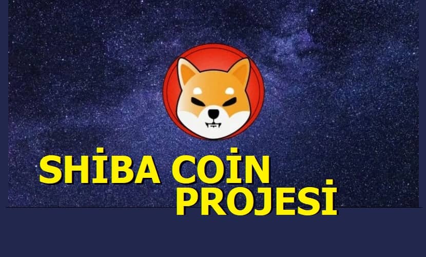 Shiba Coin Son Dakika Haberleri