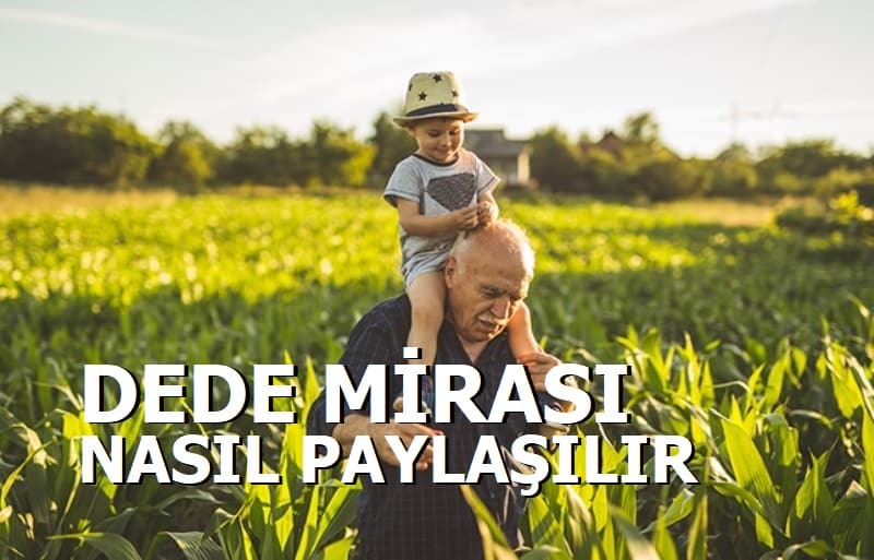 Dededen Kalan Miras Nasıl Paylaşılır?