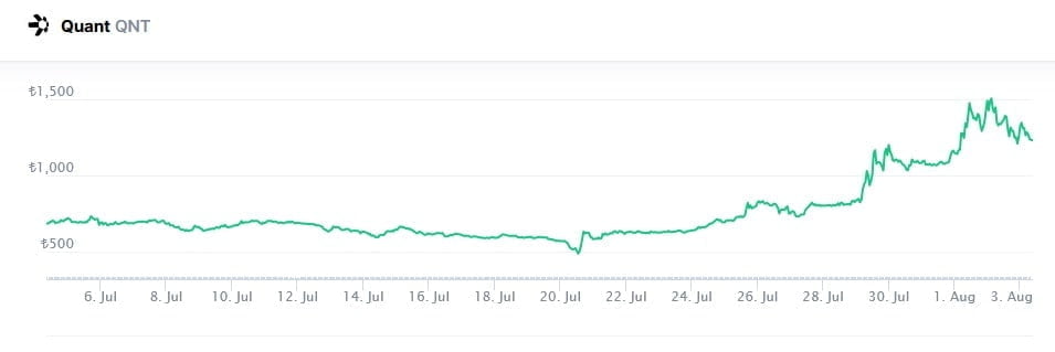 QNT Coin Geleceği 2021 - Quant Coin alınır mı?