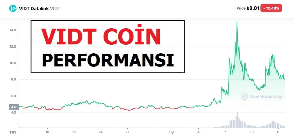 Vidt coin geleceği 2021 - vidt datalink coin alınır mı?