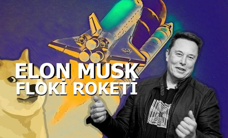 elon floki coin