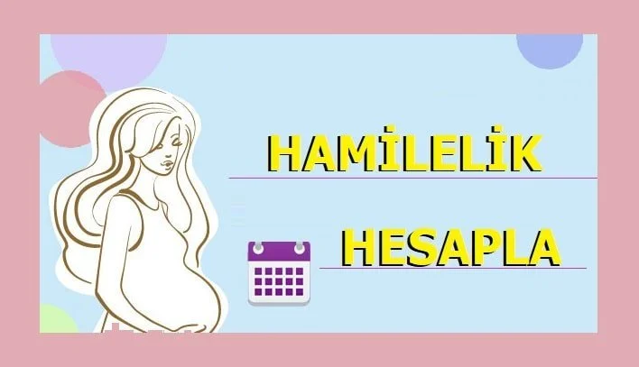 İlişki Tarihine Göre Gebelik Hesaplama