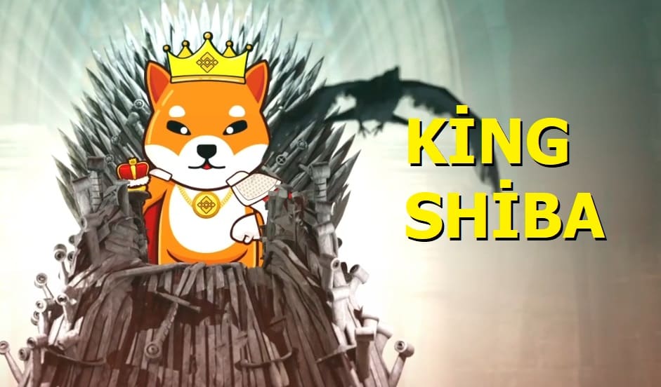 King shiba coin geleceği - kingshib coin yorum 2021