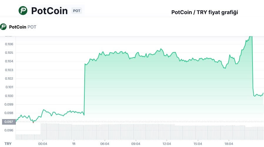 Pot coin grafik