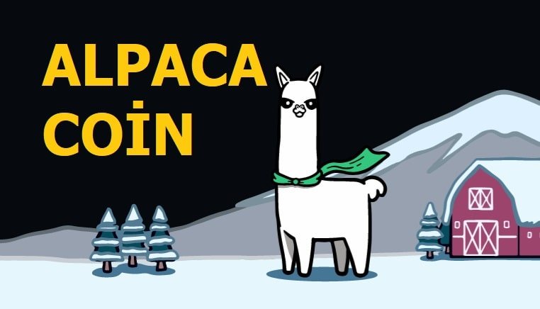 Alpaca coin geleceği 2022 - alpaca finance yorum