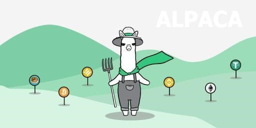 Alpaca coin geleceği 2022 - alpaca finance yorum