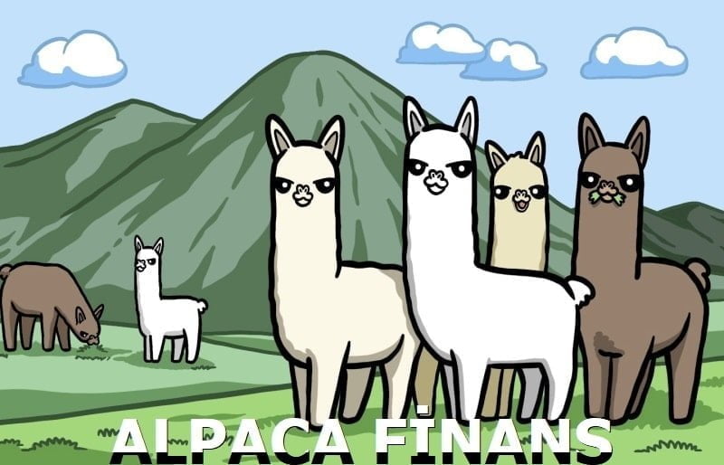 Alpaca coin geleceği 2022 - alpaca finance yorum