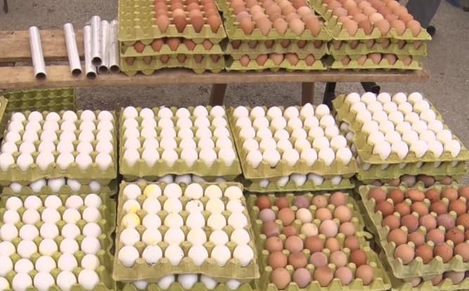 BİM 30'lu Yumurta Fiyatı