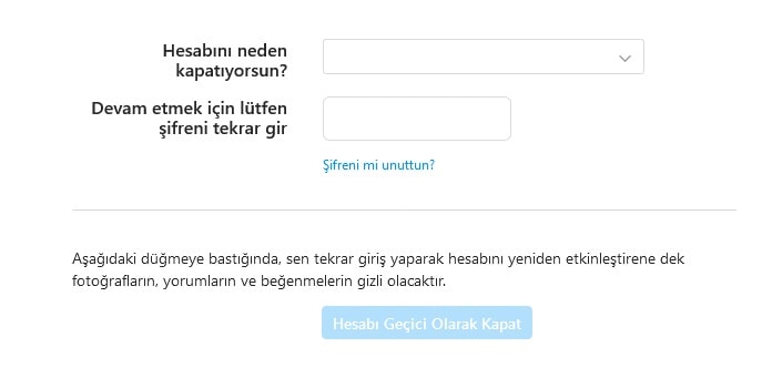 Instagram Dondurma Geçici