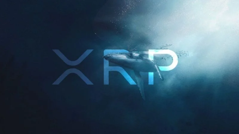 xrp coin