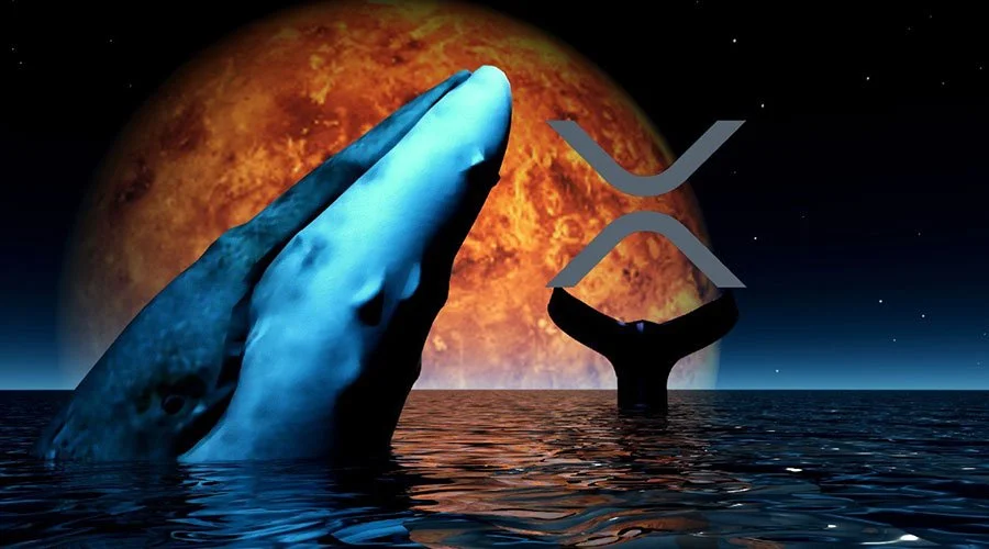 xrp coin