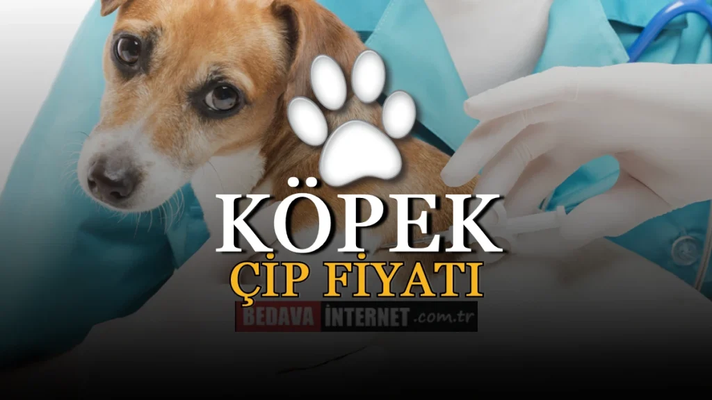 Köpek Çip Fiyatı