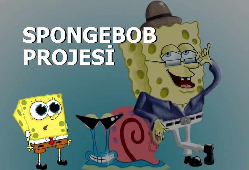 Spongebob coin geleceği 2022 - spongs coin nedir