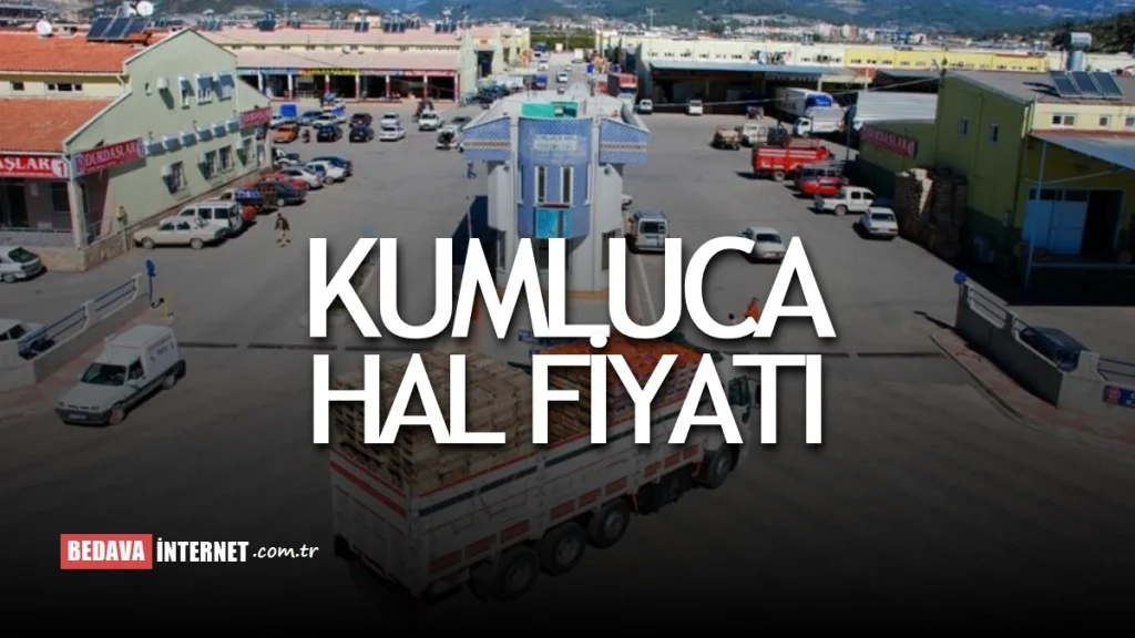 Kumluca Hal Fiyatları