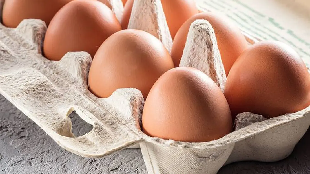 Bozuk yumurta nasıl anlaşılır
