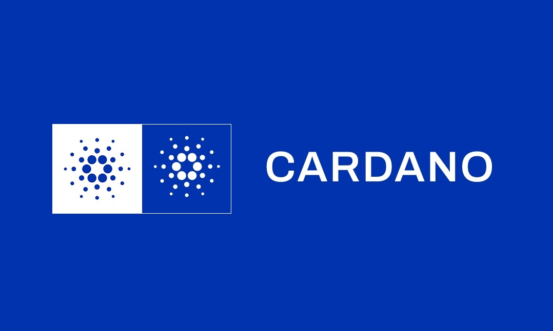Cardano (ADA) Coin Stake Kazançları Katlıyor