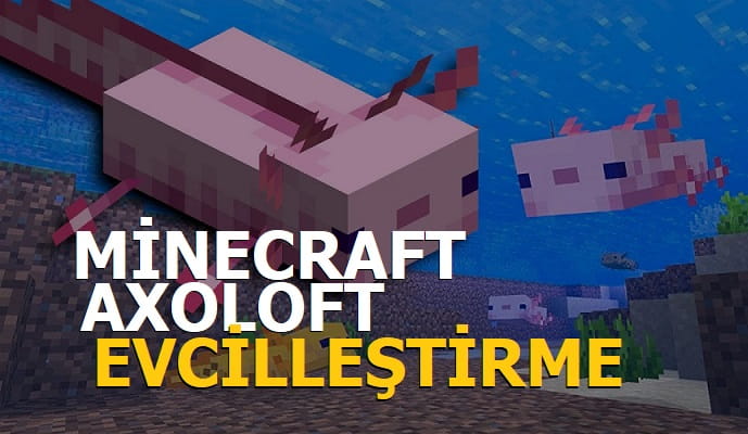 Minecraft Axolotl Nasıl Evcilleştirilir