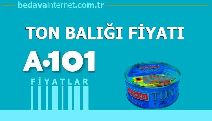 A101 Ton Balığı Fiyatı