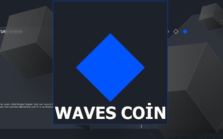Waves Coin Nedir