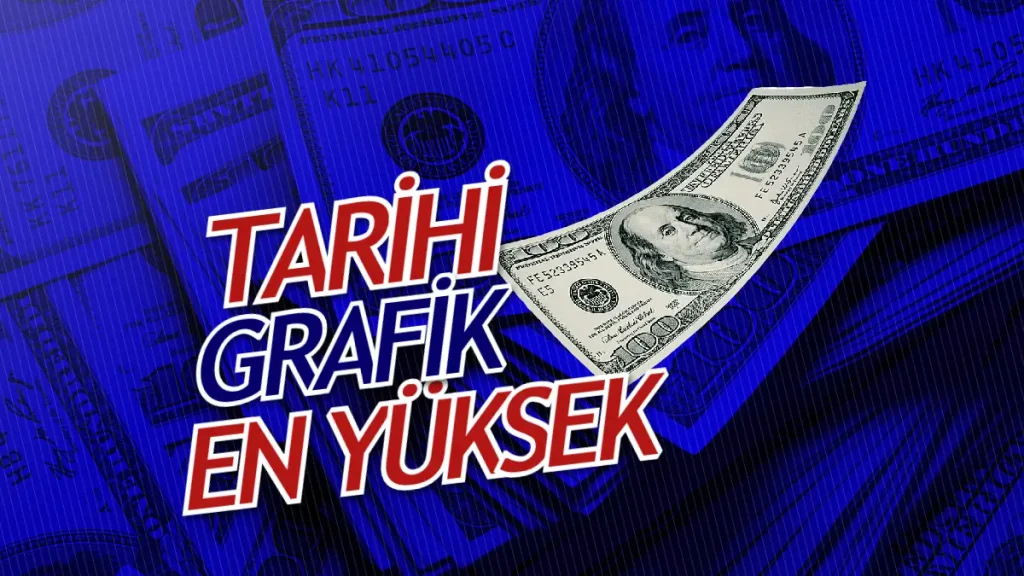 1 Yıllık Dolar Grafiği