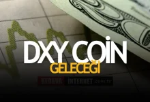 Dxy Coin Geleceği 2023-25 - Dxy Coin Yorum