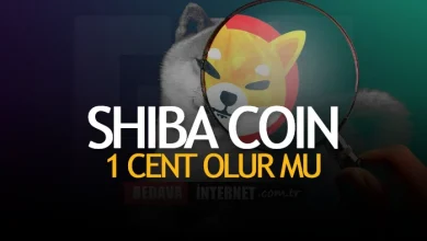 Shiba Coin 1 Cent Olur Mu