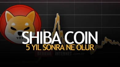 Shiba Coin 5 Yıl Sonra Ne Olur