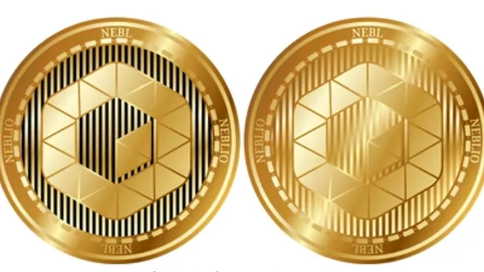 Nebl coin hangi borsada