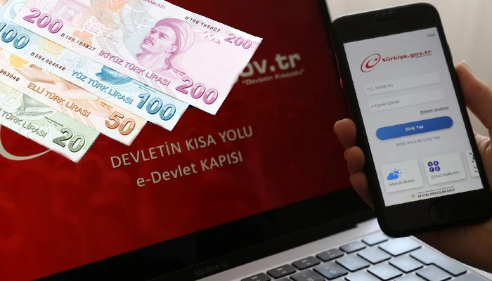 E-Devlet Ev Hanımlarına Başvuru