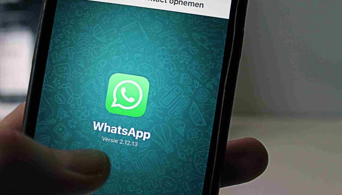 Whatsapp Yıllık Kazancı