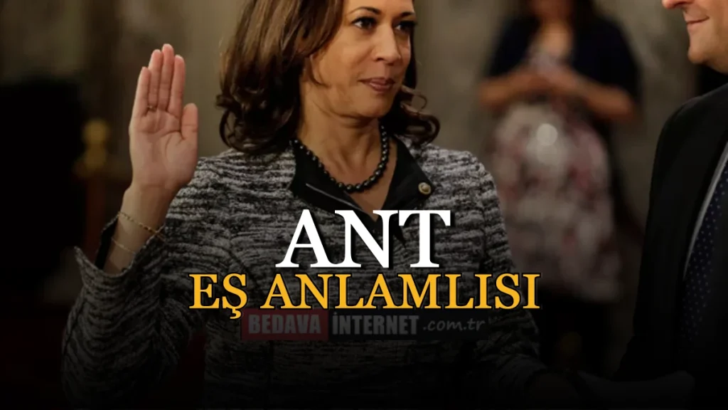 Ant Eş Anlamlısı