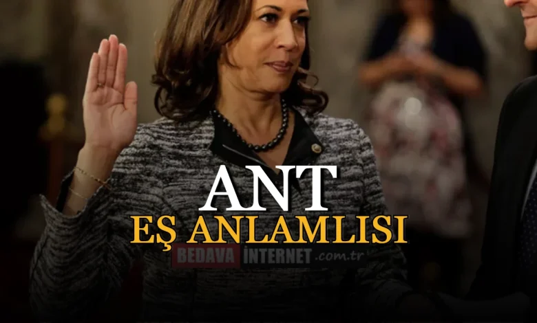 Ant eş anlamlısı