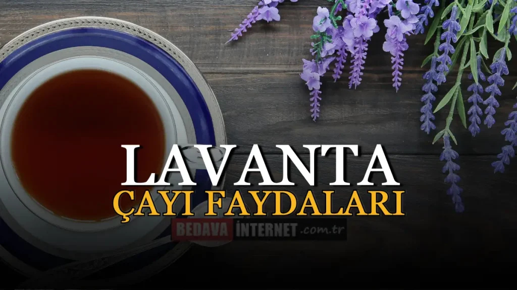 Lavanta Çayının Faydaları