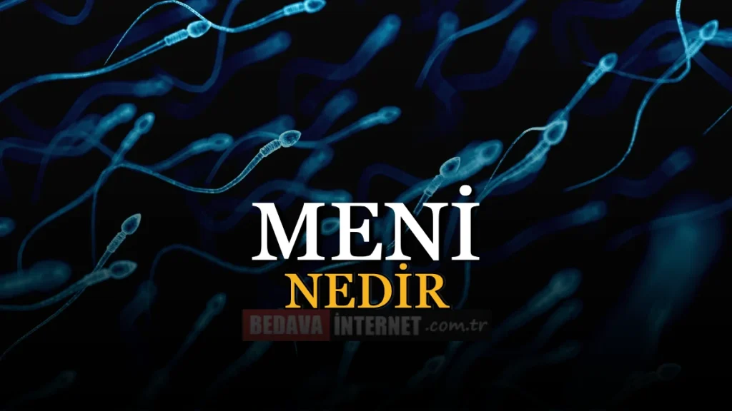 Meni Nedir