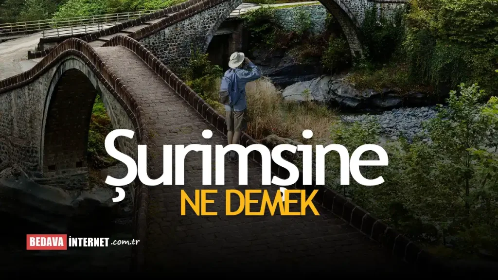 Şurimşine Ne Demek