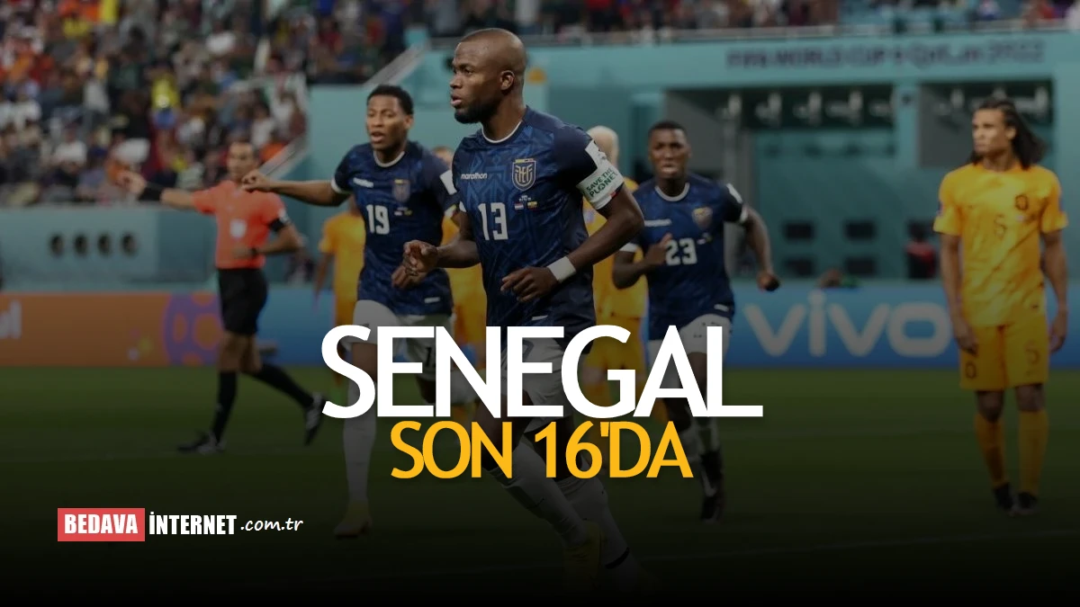 Senegal ve hollanda gruptan çıktı