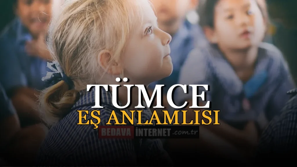 Tümce Eş Anlamlısı