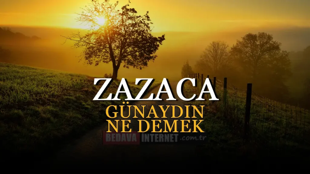 Zazaca Günaydın Ne Demek