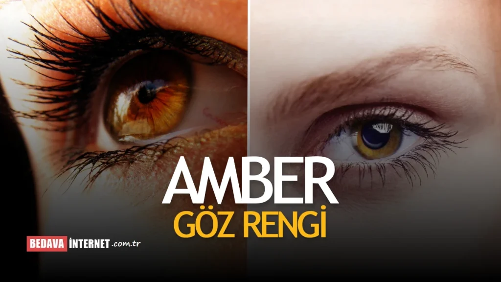 Amber Göz Rengi