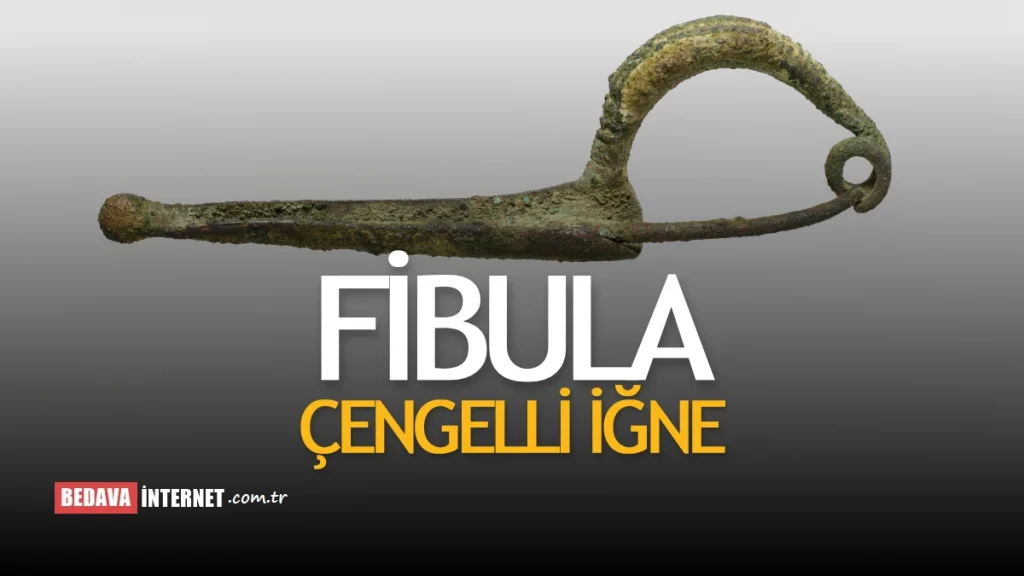 Fibula Çengelli İğne Kim Buldu