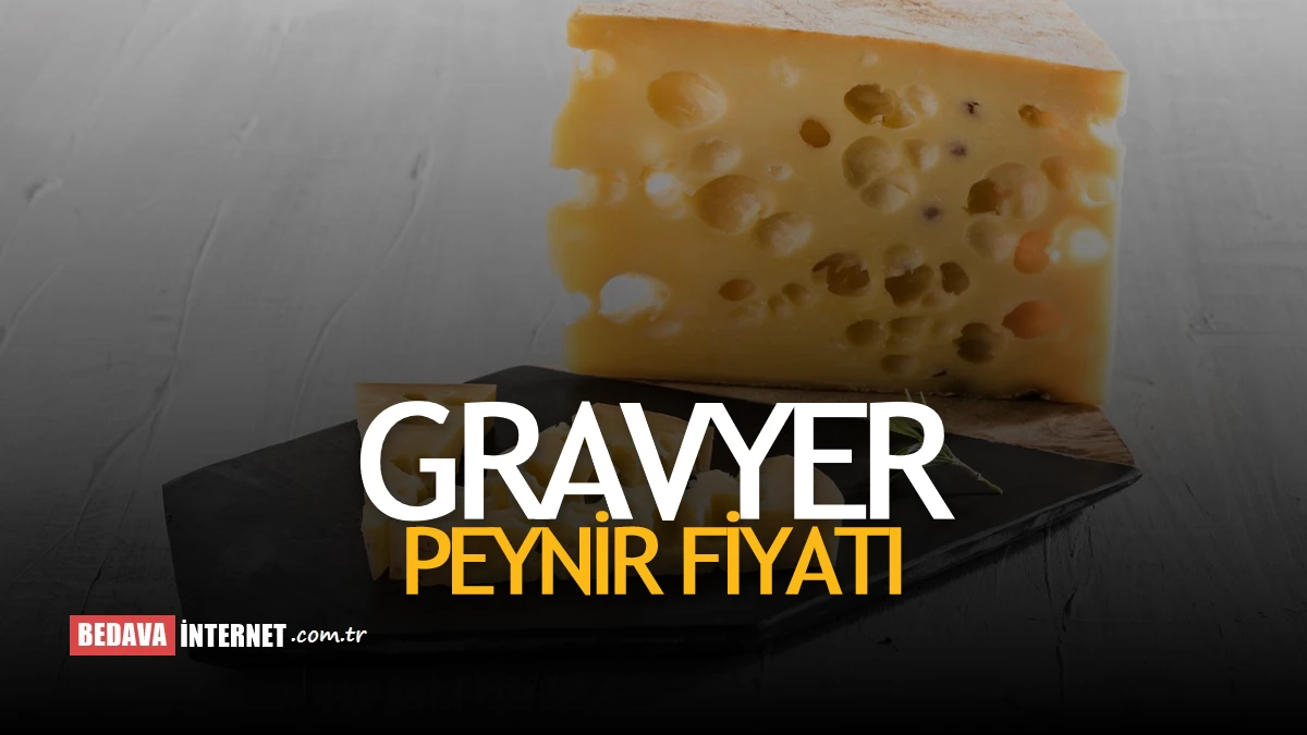 Gravyer peyniri fiyat