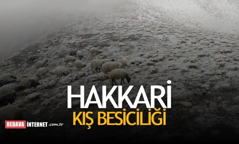Hakkari̇ kış besiciliği başladı