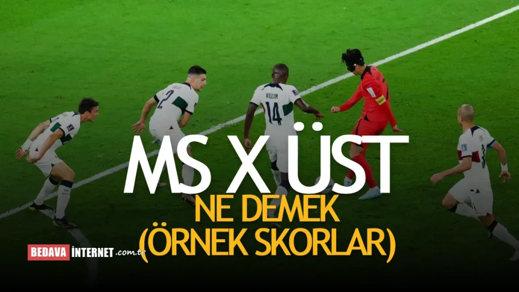 Ms X Ne Demek