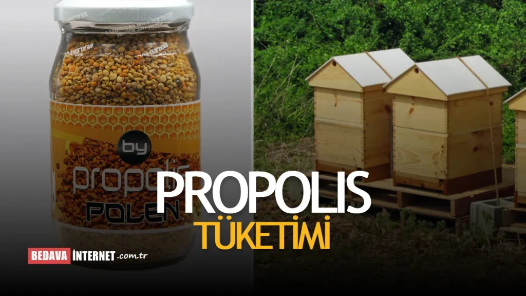 Propolis Nasıl Tüketilir