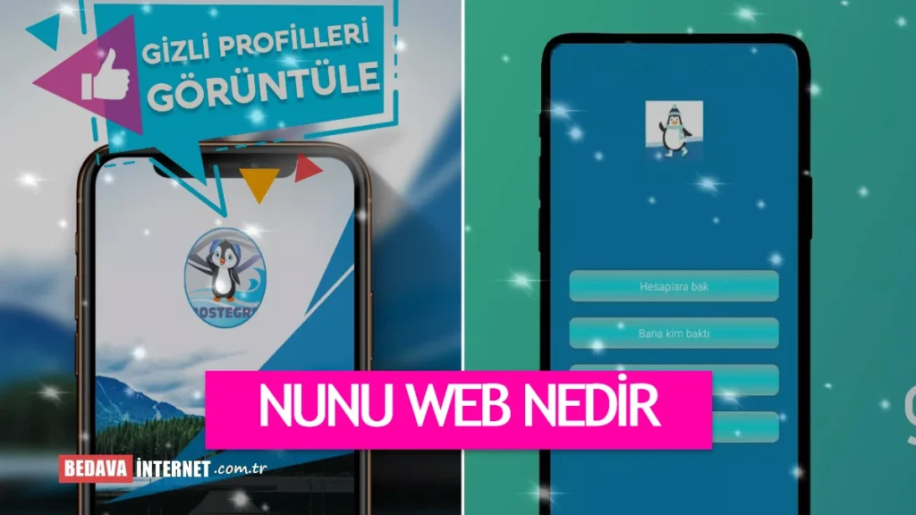 Nunu Web Nedir