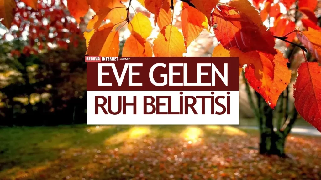 Ölülerin Eve Geldiğini Nasıl Anlarız