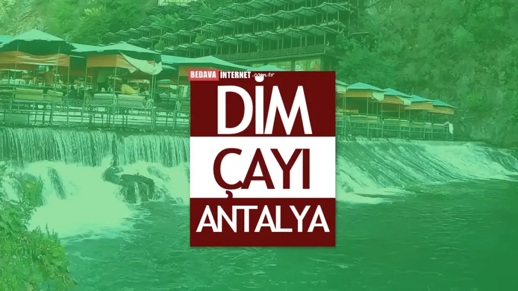 Dim çayı hakkında