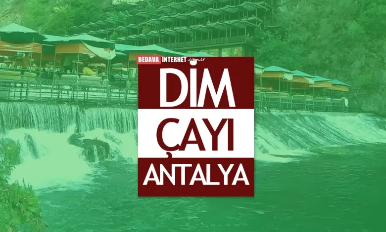 Dim çayı hakkında