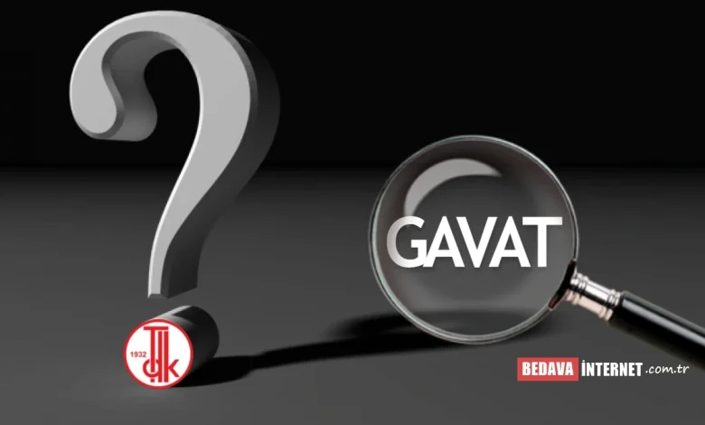 Gavat ne demek