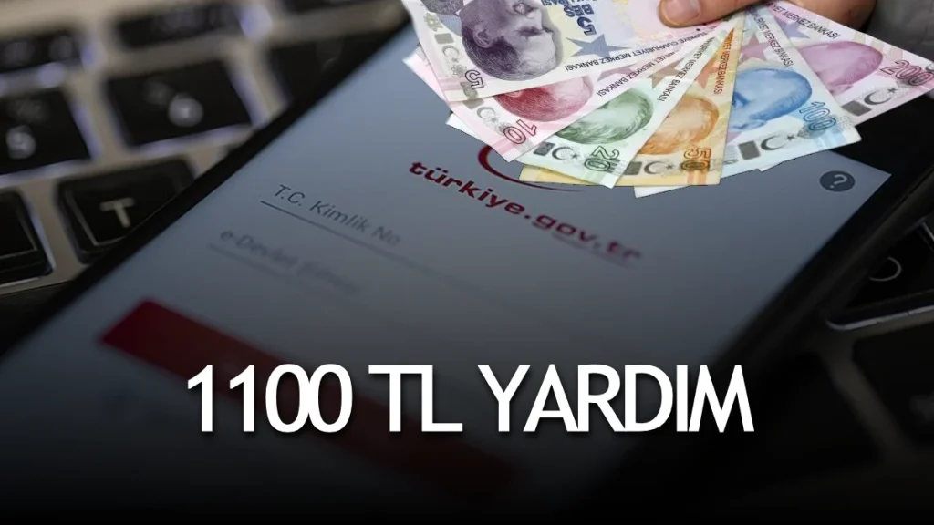 E-Devlet 1100 TL Yardım Başvurusu